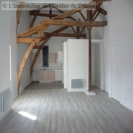 location appartement CARCASSONNE 4 pieces, 110,7m